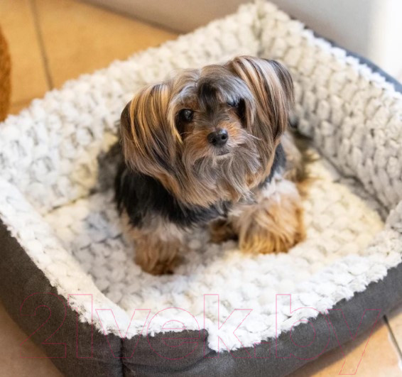 Изображение товара Лежанка для животных Ferplast Sweetie 70 / 81064699