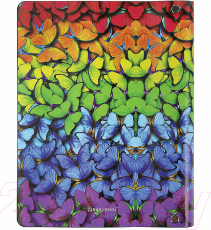 Изображение товара Тетрадь Brauberg Vista Butterflies А5 / 112128