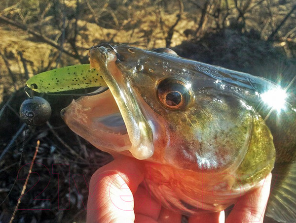 Изображение товара Мягкая приманка Lucky John Series 3d Makora Shad Tail / 140408-007 (6шт)