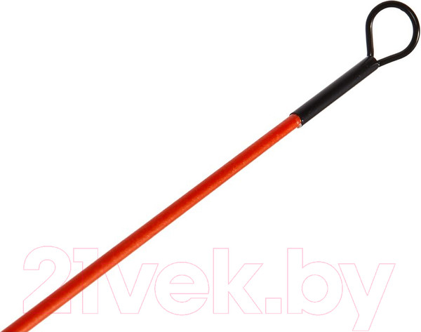 Изображение товара Удочка Salmo Fin 02 / 422-02