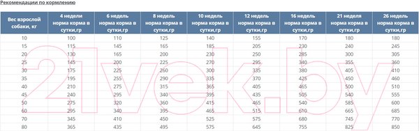 Изображение товара Сухой корм для собак Happy Dog Sensible Puppy Lamm & Reis / 61010 (4кг)
