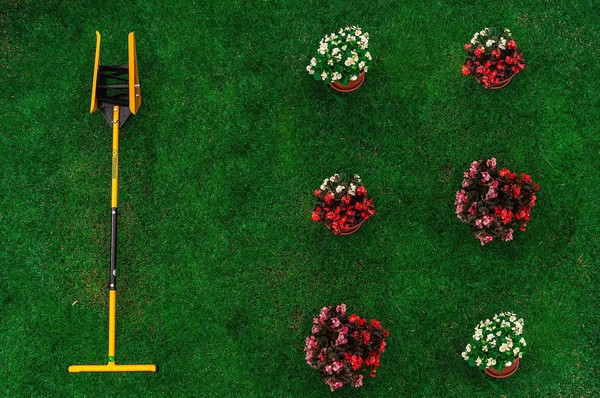 Изображение товара Культиватор ручной Tornadica Mini TOR-32MINI-COMB