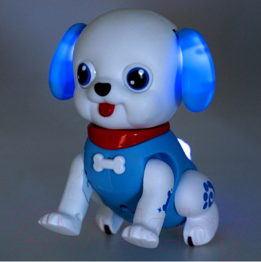 Изображение товара Развивающая игрушка Bondibon Собачка ВВ5478