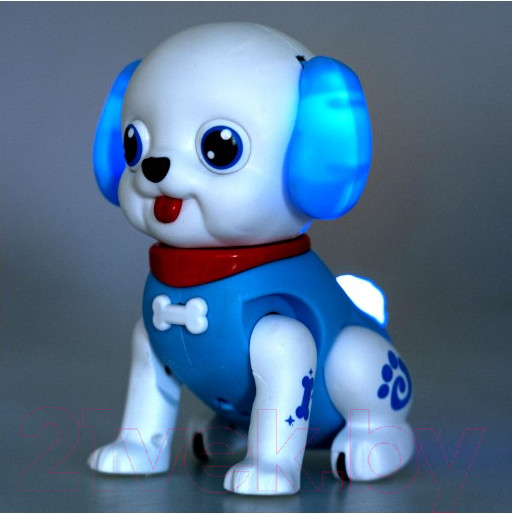 Изображение товара Развивающая игрушка Bondibon Собачка ВВ5478