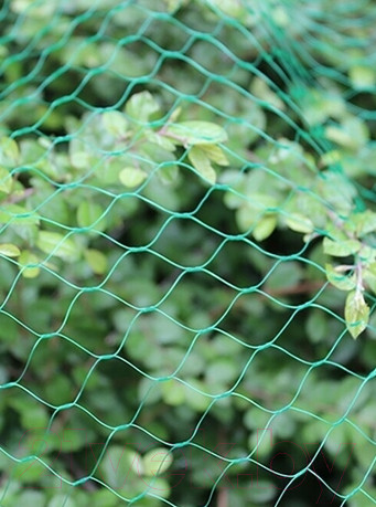 Изображение товара Защитная сетка для растений Чудесный Сад BN-088 (зеленый)