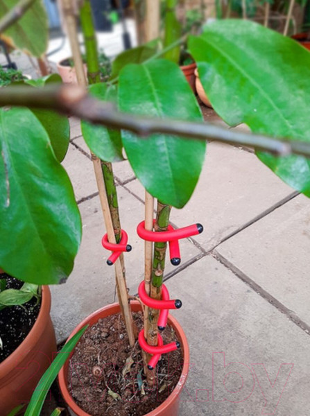 Изображение товара Набор для подвязки растений Чудесный Сад BST-021.R (красный, 4шт)