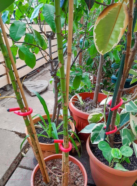 Изображение товара Набор для подвязки растений Чудесный Сад BST-021.R (красный, 4шт)