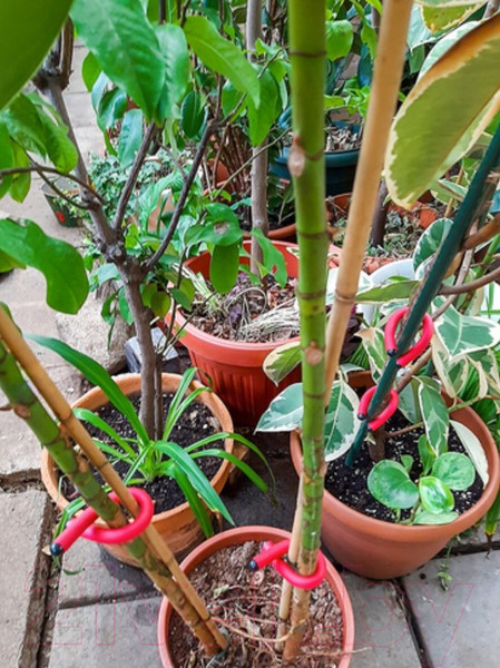 Изображение товара Набор для подвязки растений Чудесный Сад BST-021.R (красный, 4шт)