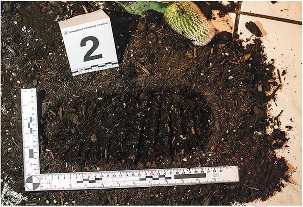 Изображение товара Настольная игра Мир Хобби Детективные истории: Роковая Антарктика / 915528