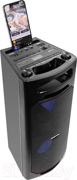 Изображение товара Портативная акустика Toshiba TY-ASC51