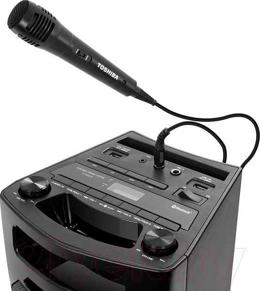 Изображение товара Портативная акустика Toshiba TY-ASC51
