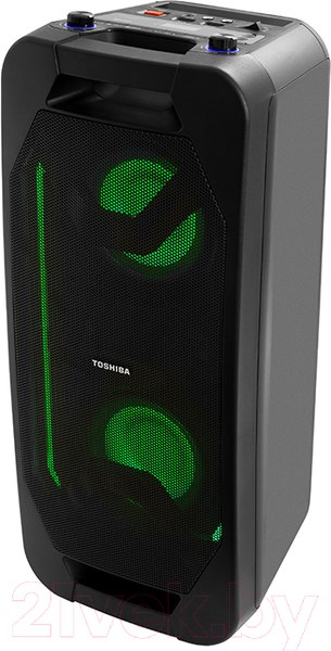 Изображение товара Портативная акустика Toshiba TY-ASC66