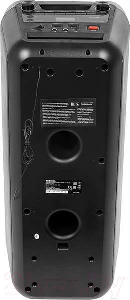 Изображение товара Портативная акустика Toshiba TY-ASC66