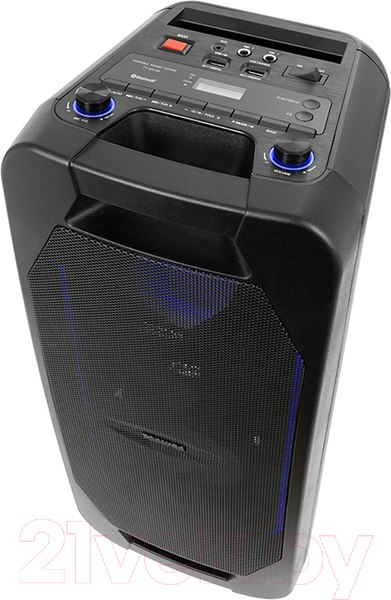 Изображение товара Портативная акустика Toshiba TY-ASC66