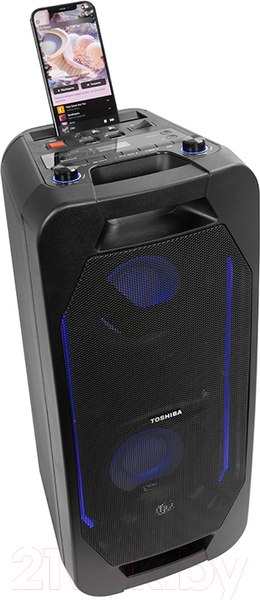 Изображение товара Портативная акустика Toshiba TY-ASC66