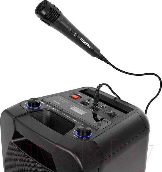 Изображение товара Портативная акустика Toshiba TY-ASC66