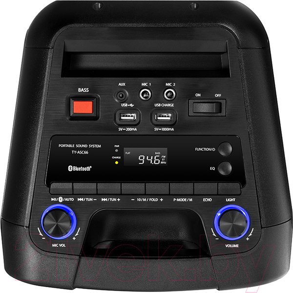 Изображение товара Портативная акустика Toshiba TY-ASC66