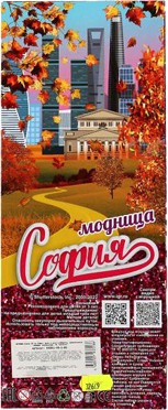 Изображение товара Кукла с аксессуарами Карапуз София / 66001-F8-S-BB