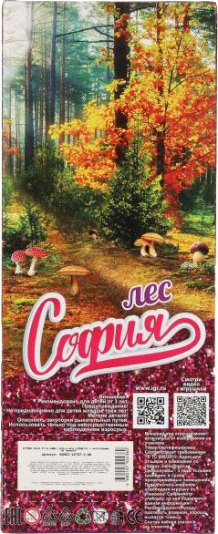 Изображение товара Кукла Карапуз София / 66001-SET07-S-BB