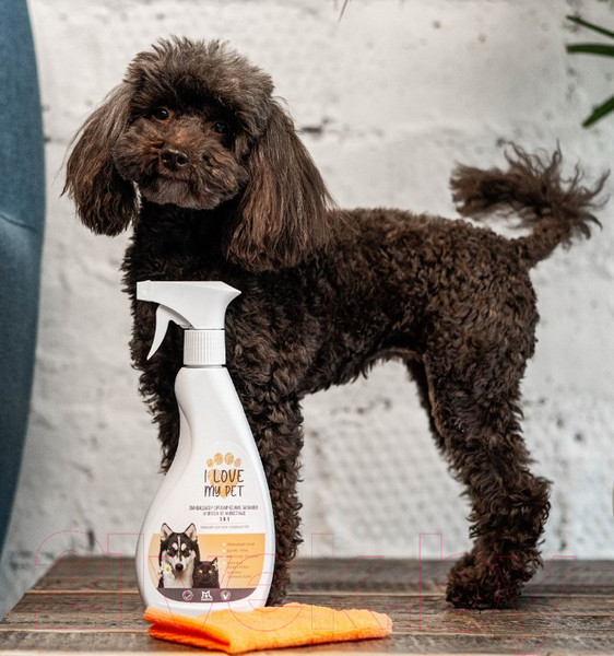 Изображение товара Средство для нейтрализации запахов и удаления пятен I Love My Pet 500мл