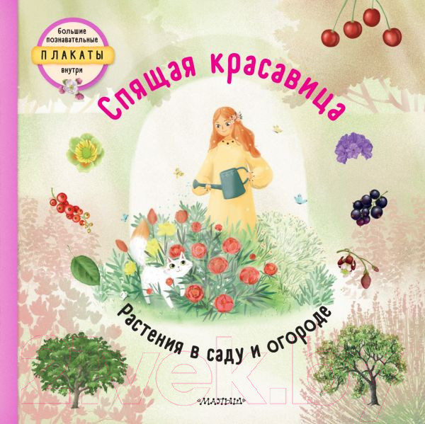 Изображение товара Книга АСТ Спящая красавица (Немцова Т., Секанинова Ш.)