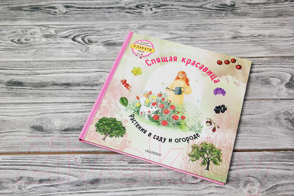 Изображение товара Книга АСТ Спящая красавица (Немцова Т., Секанинова Ш.)