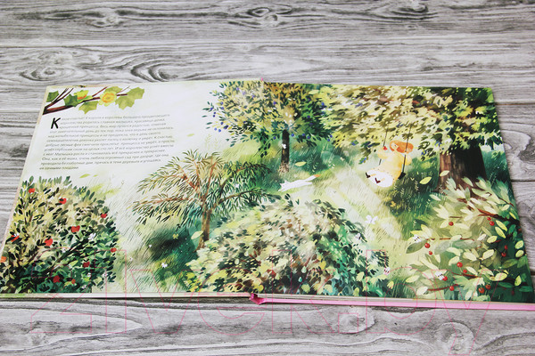 Изображение товара Книга АСТ Спящая красавица (Немцова Т., Секанинова Ш.)