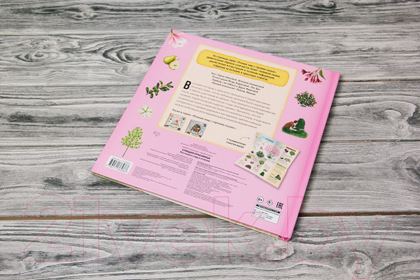 Изображение товара Книга АСТ Спящая красавица (Немцова Т., Секанинова Ш.)