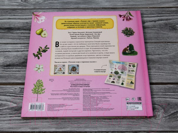 Изображение товара Книга АСТ Спящая красавица (Немцова Т., Секанинова Ш.)