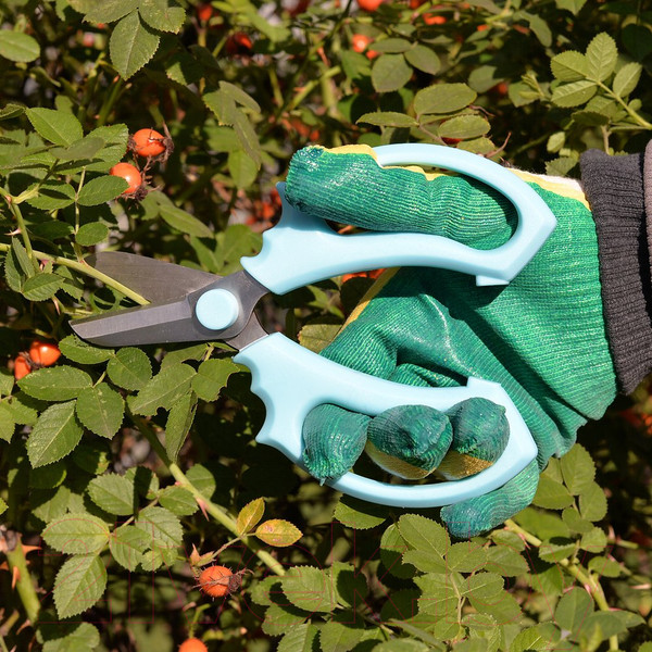 Изображение товара Садовые ножницы механические Мультидом Букет / VL83-207