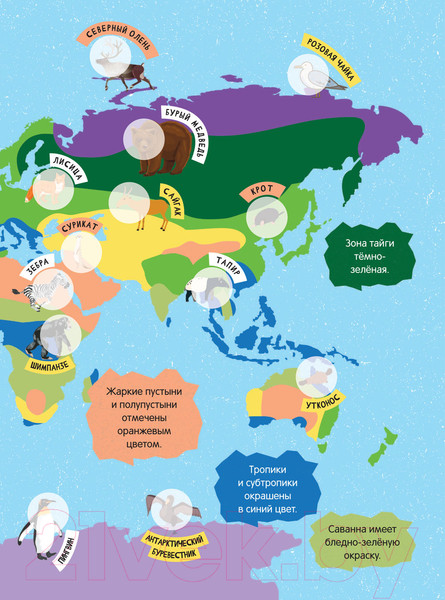 Изображение товара Атлас АСТ Большой атлас животного мира для детей (с наклейками)