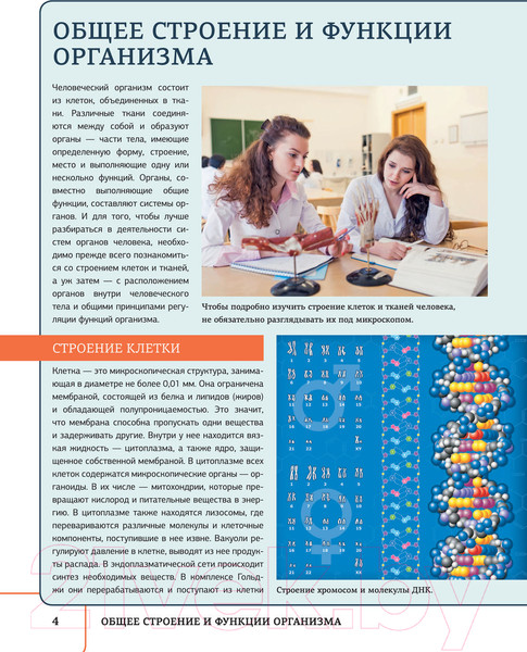 Изображение товара Книга АСТ Атлас анатомии человека с дополненной реальностью  (Спектор А.А.)