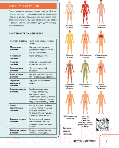 Изображение товара Книга АСТ Атлас анатомии человека с дополненной реальностью  (Спектор А.А.)