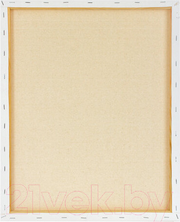 Изображение товара Холст для рисования Brauberg Art Classic / 191659