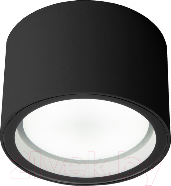 Изображение товара Светильник уличный Elektrostandard Light 26231 35144/H (черный)