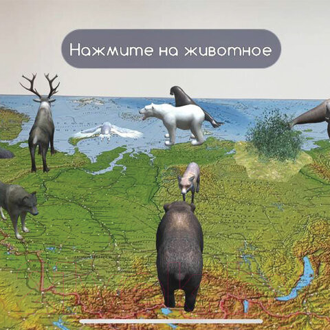 Изображение товара Настенная карта Brauberg Физическая карта России / 112393