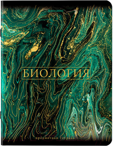 Изображение товара Набор тетрадей Brauberg Marble Предметные / 404326 (12шт)