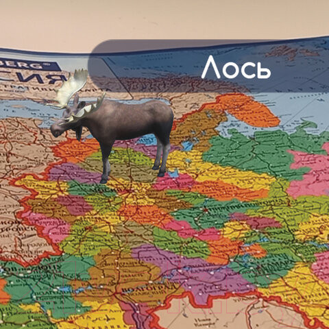 Изображение товара Настенная карта Brauberg Карта России политико-административная / 112395