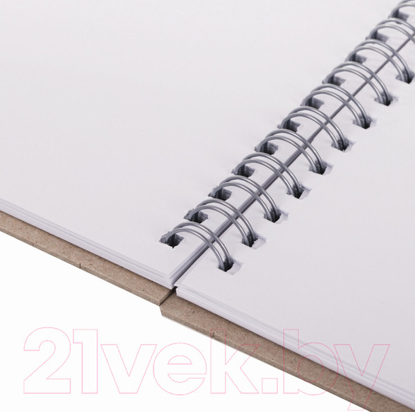 Изображение товара Скетчбук Brauberg Art Classic / 112979 (акварельная бумага)