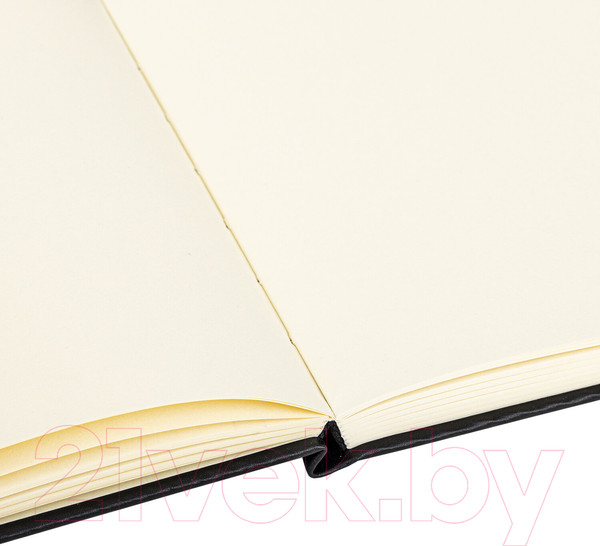 Изображение товара Скетчбук Brauberg Art Classic / 113196 (черный, слоновая кость)