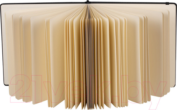 Изображение товара Скетчбук Brauberg Art Classic / 113196 (черный, слоновая кость)