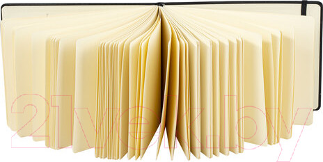 Изображение товара Скетчбук Brauberg Art Classic / 113198 (черный, слоновая кость)