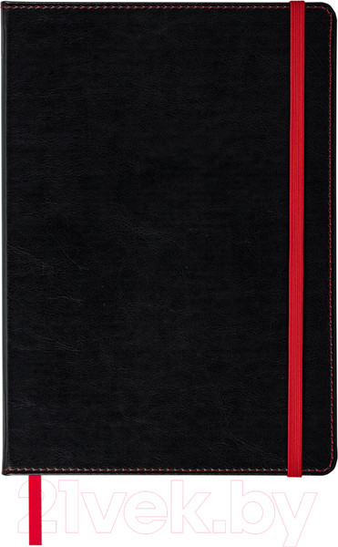 Изображение товара Записная книжка Brauberg Office / 113309 (черный)