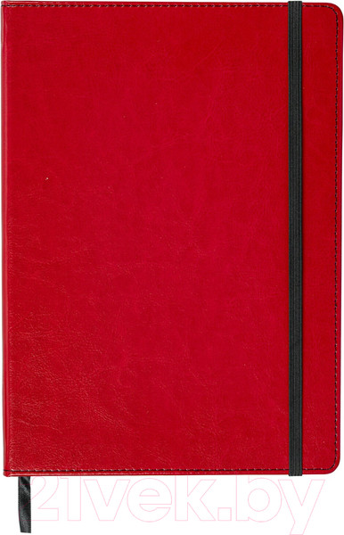 Изображение товара Записная книжка Brauberg Office / 113310 (красный)