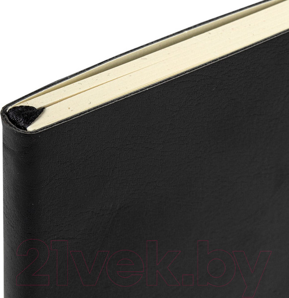 Изображение товара Записная книжка Brauberg Metropolis Ultra / 113324 (черный)