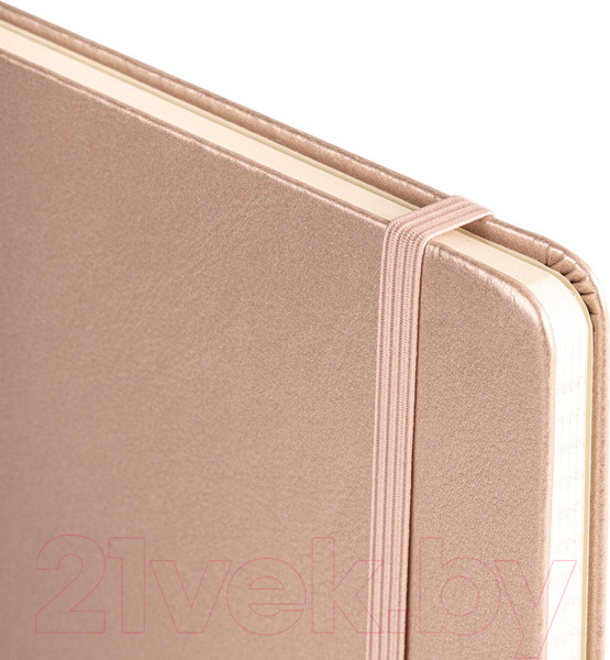 Изображение товара Записная книжка Brauberg Metropolis Special / 113334 (медный)