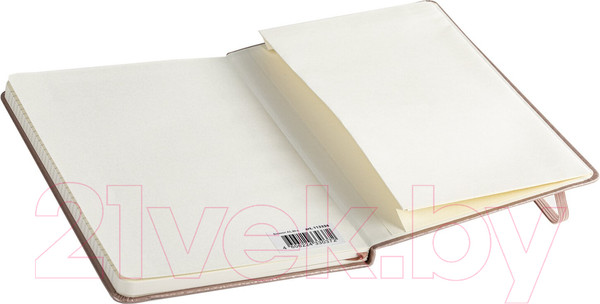 Изображение товара Записная книжка Brauberg Metropolis Special / 113334 (медный)