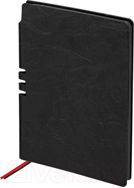 Изображение товара Записная книжка Brauberg Nebraska / 113411 (черный)