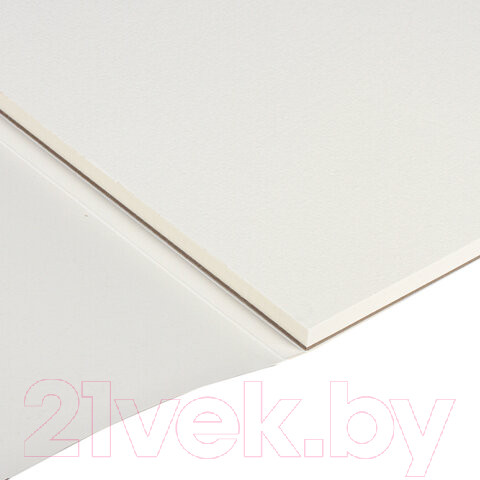 Изображение товара Альбом для рисования Brauberg Art Premiere / 113216