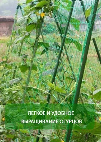 Изображение товара Сетка садовая Interlok Шпалерная 2х10м